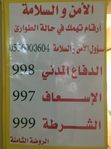 8888-225x300