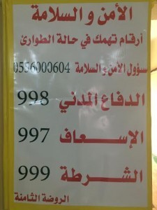 8888-225x300-225x300