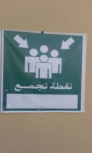 المطيوي2