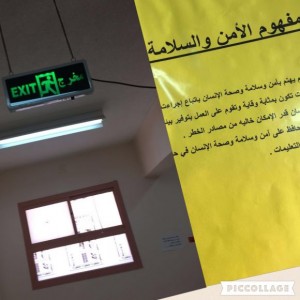 203_qyr4RHxpYHXn0e1A