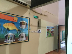 IMG_1611