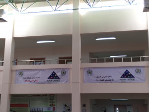 IMG_4391