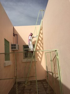 بدر الجنوب 6