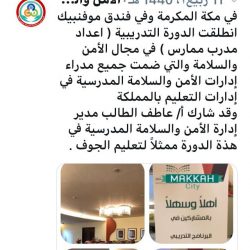 برنامج (صمام الأمان)