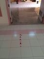 اليوم العالمي للدفاع المدني في ابتدائية دخنه الأولى