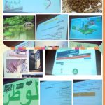 مدير التعليم بمحافظة الطائف يعتمد الخطة الفصلية لأعمال منسق و منسقة الأمن و السلامة المدرسية للفصل الدراسي الأول